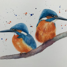 Kingfishers. Un proyecto de Pintura a la acuarela de Nigel Hackett - 12.01.2021