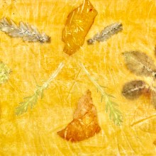 Bufandas de seda en Impresión botánica en textil y papel. Un proyecto de Estampación de maiamarin - 14.01.2021