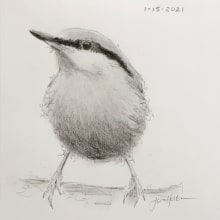 My project in Artistic Watercolor Techniques for Illustrating Birds course. Desenho, e Pintura em aquarela projeto de Jan Helton - 20.01.2021