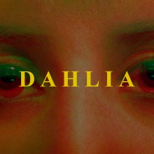 Mi Proyecto del curso: D A H L I A. Cinema, Vídeo e TV, Vídeo, Stor, e telling projeto de Daniela Hernández - 27.01.2021