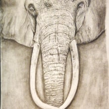 Elephant. Desenho a lápis projeto de Paolo Mongillo - 31.01.2021