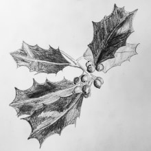 Plants. Un proyecto de Dibujo a lápiz de Anne Brundell - 23.11.2020