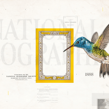 National Geographic Vintage Tote Bag. Un proyecto de Diseño, Diseño editorial, Diseño gráfico, Creatividad e Ilustración editorial de Martín Korinfeld Ruiz - 17.09.2019