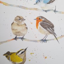My project in Artistic Watercolor Techniques for Illustrating Birds course. Un proyecto de Pintura a la acuarela de mintlozenge - 18.02.2021