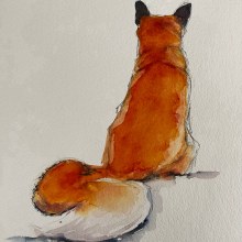 Loose watercolour fox. Un proyecto de Pintura a la acuarela de Sarah Stokes - 20.02.2021