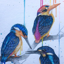 COLORFUL RAIN: Acuarela artística para ilustración de aves. Ilustração tradicional, Pintura em aquarela, Desenho realista e Ilustração naturalista projeto de Alex Vig0 - 03.03.2021