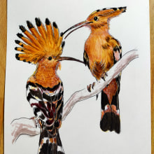 Mi Proyecto del curso: Ilustración naturalista de aves con acuarela. Artes plásticas projeto de Angelika Villalta Soto - 06.03.2021