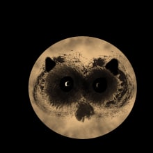 Raccoon in moon... Ein Projekt aus dem Bereich Grafikdesign von Maria Michailidou - 06.03.2021