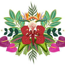 Flor de Flamboyán - Ilustración para patrones . Un proyecto de Ilustración digital de Shantall Alam - 07.11.2020