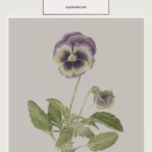 Mi Proyecto del curso: Ilustración botánica con acuarela. Un proyecto de Ilustración tradicional e Ilustración botánica de Cuadrado Rojo - 07.03.2021