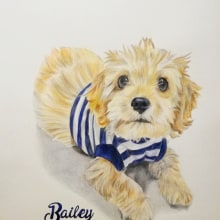 Bailey. Fine Arts, Realistic Drawing, and Artistic Drawing project by Ana María Gaviria Poveda - 03.09.2021