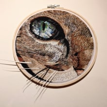 Cat's eye close up - Stitch Direction practice . Embroider project by Maddy Edgington - 03.14.2021