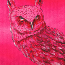 Owls are not what they seem. Ilustração tradicional, Desenho, Pintura em aquarela e Ilustração naturalista projeto de David Cano Leal - 23.12.2020