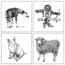 My project in Surrealistic Fineliner Illustration course: OKAPI / SLOTH / PIG / SHEEP. Un proyecto de Ilustración tradicional de Alena Prosecova - 27.03.2021