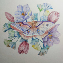 Mi Proyecto del curso: Dibujo y composición naturalista en acuarela. Watercolor Painting project by Liliana Donato - 04.04.2021