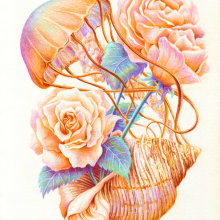 Roses Grow from Shells. Traditional illustration, Sketching, and Drawing project by luna_solvo - 04.10.2021