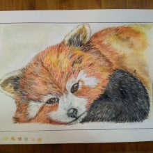 Mi Proyecto "Panda Rojo" : acuarela, grafito y rotulador. Ilustração tradicional, e Pintura em aquarela projeto de Anabella D'Angelo - 12.04.2021