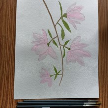 My project in Botanical Illustration with Watercolors course. Un projet de Aquarelle de Daniela de Bartolo - 14.03.2021