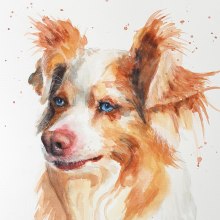 Rudi, the dog of my friend Jule, watercolor Ein Projekt aus dem Bereich Aquarellmalerei von Tina Ritter - 24.04.2021