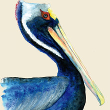Pelicano, un viaje a México.. Un proyecto de Ilustración tradicional de Iana perez nollet - 24.04.2021
