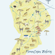 Mountain Zebra National Park creative map. Un progetto di Illustrazione tradizionale di Jennie Harborth - 18.04.2021
