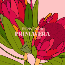 Compilado de Pañuelos 2020 | Proyecto personal. Traditional illustration, Accessor, Design, Vector Illustration, Printing, Textile Illustration, and Botanical Illustration project by Pola Martinez - 04.25.2021