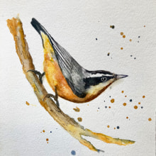 My project in Artistic Watercolor Techniques for Illustrating Birds course. Un progetto di Illustrazione tradizionale di Melissa Malm - 26.04.2021