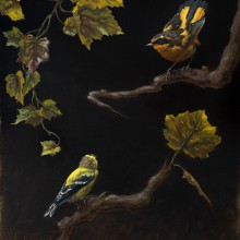 Goldfinch, Robin and Autumn Leaves. Fine Arts, Painting, Oil Painting, and Naturalistic Illustration project by Sarah Margaret Gibson - 05.04.2021