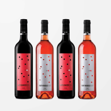 Vins Barthomeus. Design, Art Direction, Br, ing, Identit, Graphic Design, Packaging, and Communication project by Mariona Llasat - 05.06.2021