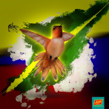 Colibrí-Colombia . Un proyecto de Diseño, Ilustración tradicional, Dibujo, Ilustración infantil e Ilustración botánica de Andrés Arboleda - 08.05.2021