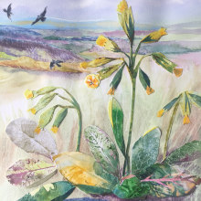 Cowslips on North Downs. Un proyecto de Ilustración tradicional, Dibujo, Pintura a la acuarela, Ilustración con tinta e Ilustración naturalista				 de louisedoveart - 14.05.2021