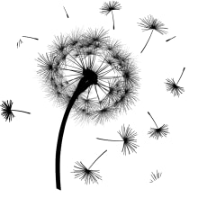 Blog: Dandelion. Marketing, Web Design, Writing, Cop, writing, Digital Marketing, Content Marketing, E-commerce, Communication, and Growth Marketing project by Nathaly Sanabria - 05.20.2021