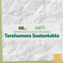 Tarahumara Sustentable. Motion Graphics, Animation, Graphic Design, Video, and 2D Animation project by Angel Vazquez Meza - 03.12.2021