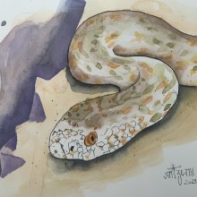 My project in Experimental Watercolor Techniques for Beginners course. Un proyecto de Ilustración tradicional, Bellas Artes, Pintura a la acuarela e Ilustración naturalista				 de Sorin Vintzeanu - 29.05.2021
