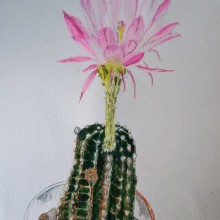 La bella y el cactus...un homenaje a Josefina y Eugenio.. Un projet de Illustration traditionnelle, Beaux Arts, Peinture, Dessin, Aquarelle et Illustration botanique de Alma Beltran - 29.05.2021