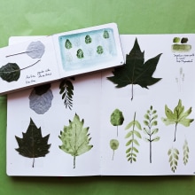 Mi Proyecto del curso: Cuaderno botánico. Ilustração tradicional, Pintura em aquarela, Ilustração botânica, e Sketchbook projeto de Maribel Tornero Brugués - 30.05.2021