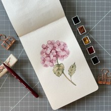 Mi Proyecto del curso: Cuaderno botánico en acuarela. Un proyecto de Ilustración, Pintura a la acuarela, Ilustración botánica y Sketchbook de Carla - 02.06.2021