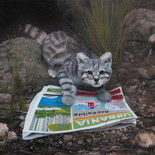 El gato andino desalojado. Painting project by Laura Cuadros - 06.03.2021