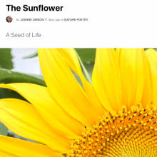 The Sunflower. Un proyecto de Escritura de Gigi Gibson - 07.06.2021