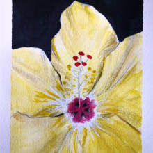 My project in Botanical Illustration with Watercolors course. Illustration, Fine Arts, Painting, Drawing, Watercolor Painting, and Botanical Illustration project by Pepper Pepper - 06.18.2021