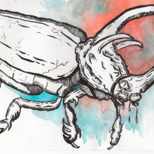Proyecto: Sketching diario como inspiración creativa "mancha de escarabajo". Traditional illustration, Sketching, Creativit, Drawing, and Sketchbook project by Diego Ortega Salgado - 06.18.2021