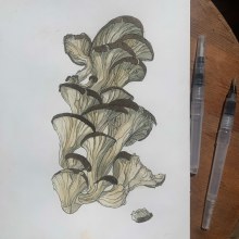 My project in Botanical Sketchbooking: A Meditative Approach course. Ilustração tradicional, Esboçado, Desenho, Pintura em aquarela, Ilustração botânica, e Sketchbook projeto de Sab Kay - 10.06.2021