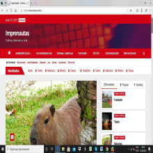 O site IMPRENAUTAS é Meu Projeto do curso "WordPress: crie um site profissional do zero". Arquitetura da informação, Web Design, e Desenvolvimento Web projeto de Edison Porto - 22.06.2021