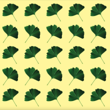 Patterns: 2 - Ginkgo Leaves  . Un proyecto de Diseño, Ilustración tradicional, Fotografía, Diseño gráfico, Pattern Design, Creatividad, Ilustración digital, Estampación, Fotografía digital y Diseño digital de katerina.valiath - 29.06.2021
