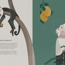 Jungle Book: Capuchin Monkey. Ilustração vetorial, Ilustração digital e Ilustração infantil projeto de sabrina.tillemans - 04.07.2021