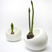 Bulb planter. Design industrial, Design de produtos, e Cerâmica projeto de Marre Moerel - 08.07.2021