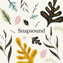 Snapsound Website Design. Ilustração tradicional, Design gráfico, e Web Design projeto de Mike Kus - 02.10.2019