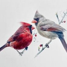 Watercolour cardinals on watercolour paper, 638 gm by St Cuthberts Mill. Un proyecto de Pintura a la acuarela de Sarah Stokes - 16.07.2021