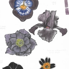 Mi Proyecto del curso: Acuarela botánica para estampados. Traditional illustration, Pattern Design, Watercolor Painting, and Botanical Illustration project by Lily Portius Yáñez - 07.19.2021