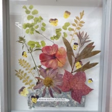 Mi Proyecto del curso: Técnicas básicas de prensado botánico. Un proyecto de Artesanía, Bellas Artes, Collage y DIY de Silvia Liliana Garavagno - 20.07.2021